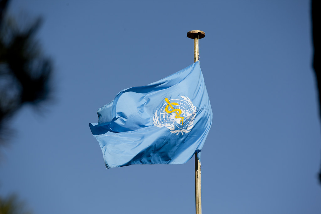 The flag of the World Health Organization flying with a background of a blue sky.